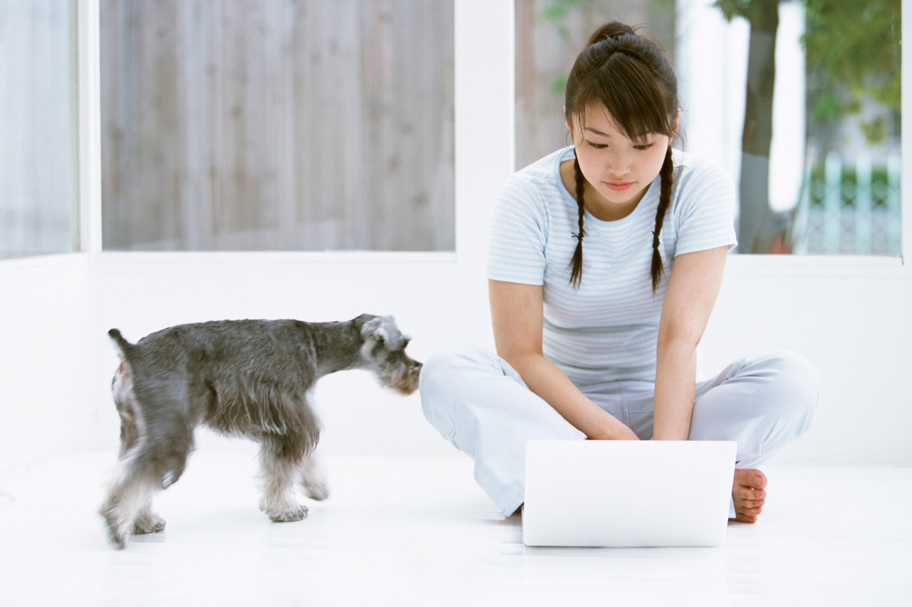 犬と女性