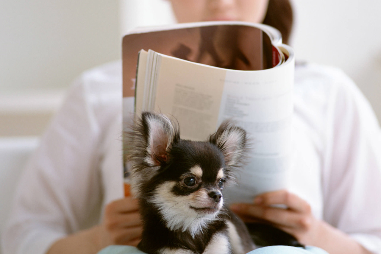 リラックスする女性と犬