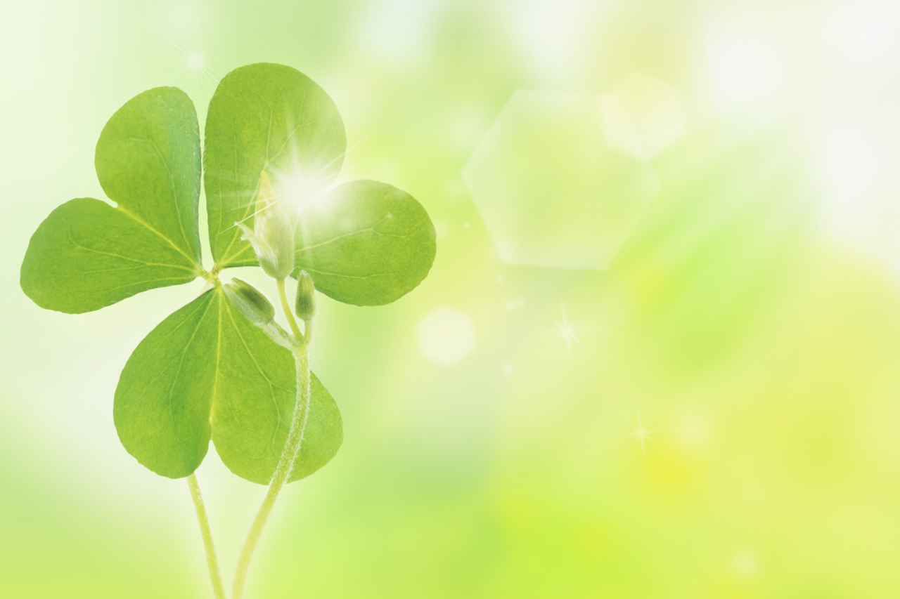 相続登記義務化